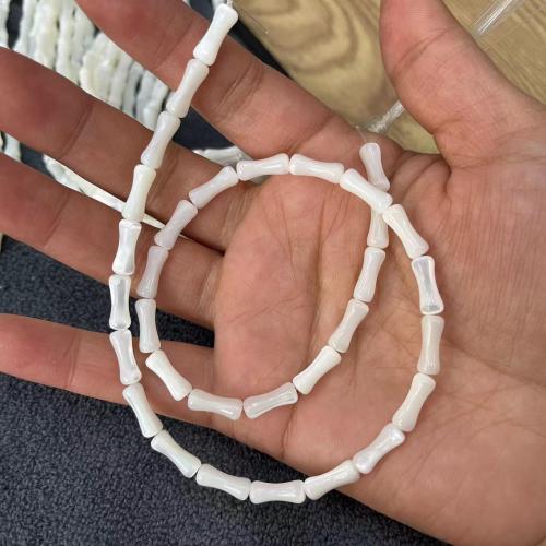 Trochus Beads Bamboo DIY white Approx Sold By Bag