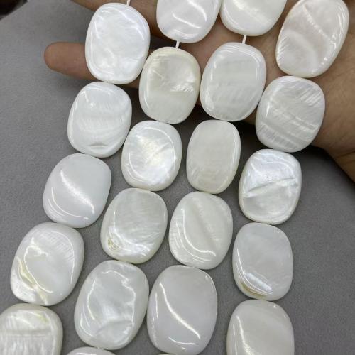 Natural White Shell Beads Freshwater Shell DIY white Approx Sold By Strand