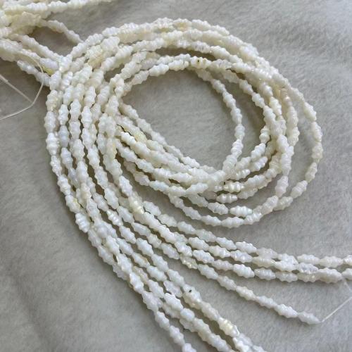 Natural Freshwater Shell Beads DIY white Approx Sold By Strand