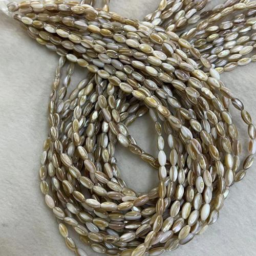 Natural Sea Shell Beads, conchiglia marina, Ovale, DIY & formato differente per scelta, Venduto da filo