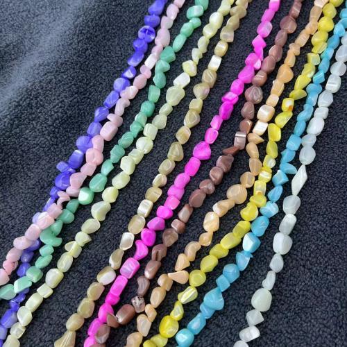 Natural Colored Shell Beads Trochus DIY mm Approx Sold By Strand