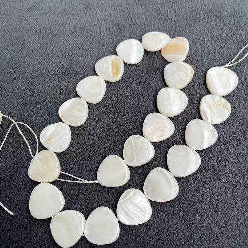 Natural Freshwater Shell Beads Triangle DIY 18mm Approx Sold By Strand