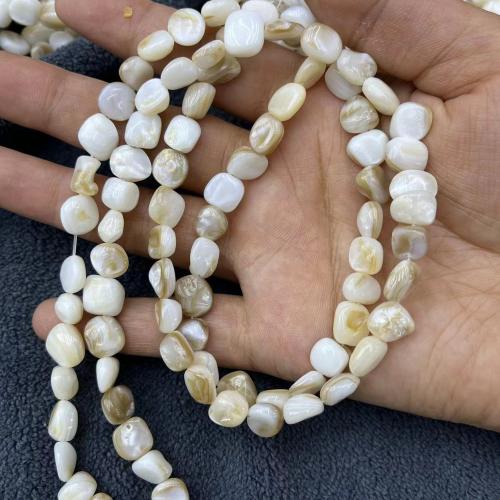 Natural Freshwater Shell Beads irregular DIY mm Approx Sold By Strand