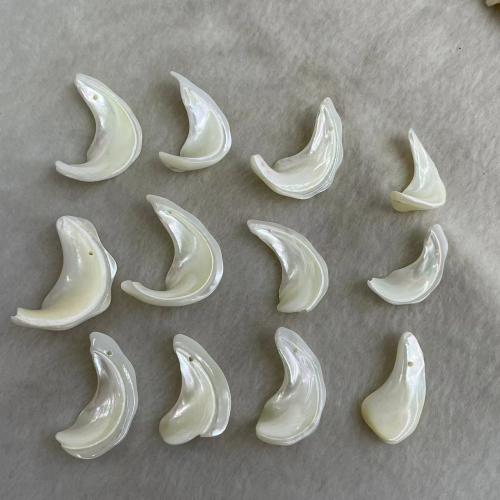 Μενταγιόν Shell, Top Shell, Σελήνη, DIY, λευκό, Length about 25-38mm, Sold Με PC