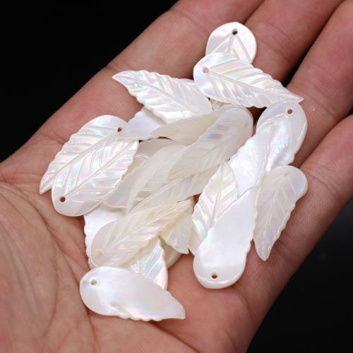 Natural Seashell Beads Shell Leaf DIY white Sold By PC