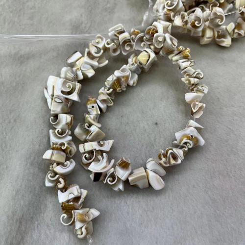 Natural Freshwater Shell Beads DIY mm Approx Sold By Bag