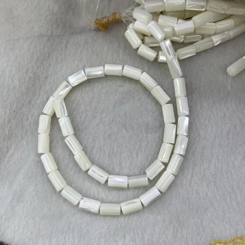 Natural Sea Shell Beads, cima guscio, Colonna, DIY, bianco, 6x10mm, Appross. 38PC/filo, Venduto da filo