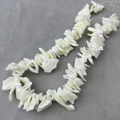 Natural Sea Shell Beads, cima guscio, Irregolare, DIY, bianco, about:16-22mm, Appross. 98PC/filo, Venduto da filo