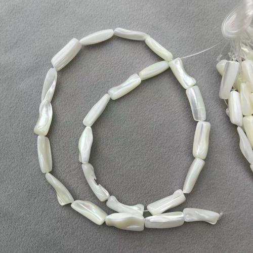 Natural Freshwater Shell Beads DIY white Approx Sold By Strand