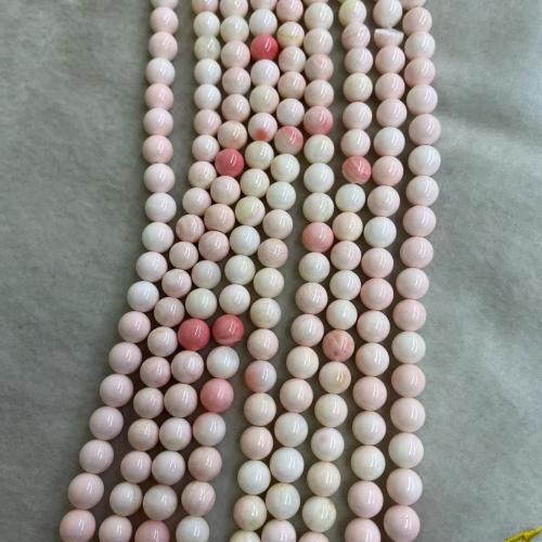 Natural Colored Shell Beads Round DIY Sold By Strand