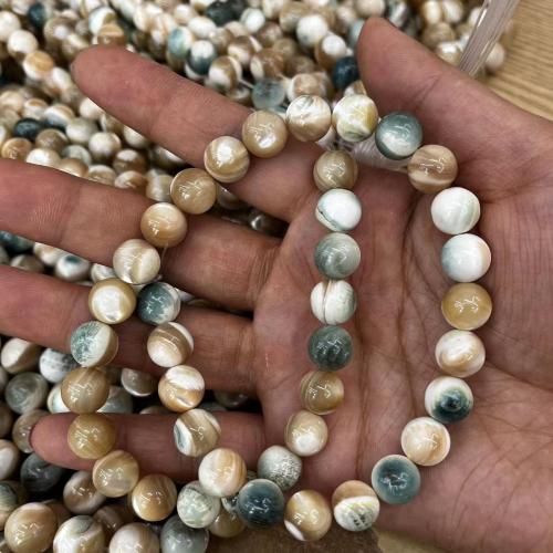 Natural Freshwater Shell Beads Round DIY Sold By Strand