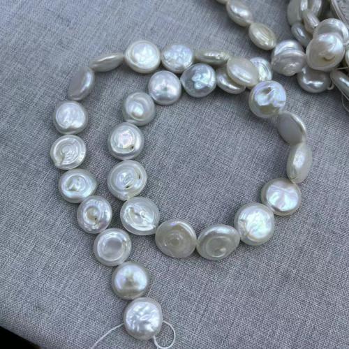 Cultured Button Freshwater Pearl Beads Coin DIY white mm Approx Sold By Strand