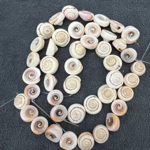 Natural Sea Shell Beads, Vite bocca rossa, Lumaca di mare, DIY, about:14-20mm, Appross. 20PC/borsa, Venduto da borsa