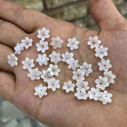 Natural Seashell Beads Trochus with White Lip Shell Flower DIY Sold By PC