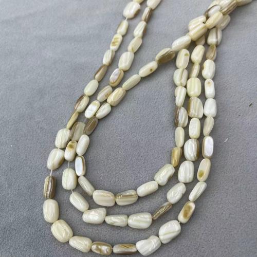 Natural Freshwater Shell Beads DIY Approx Sold By Strand