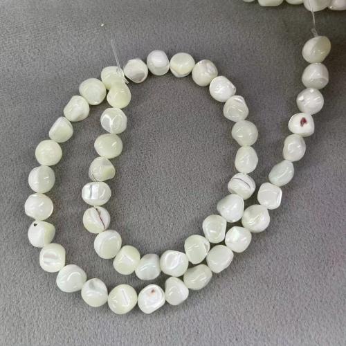 Φυσικά Χάντρες Sea Shell, Top Shell, DIY, λευκό, 8mm, Περίπου 47PCs/Strand, Sold Με Strand