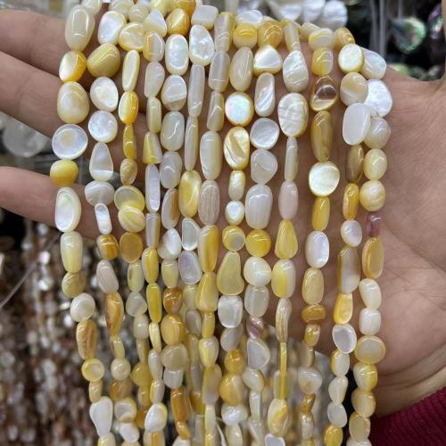 Natural Sea Shell Beads, conchiglia marina, Forma diversa per scelta & DIY, nessuno, Venduto per Appross. 38 cm filo