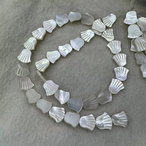 Grânulos de casca de lábio branco, White Lip Shell, Mão, esculpidas, DIY, branco, 11.50x12mm, Aprox 10PCs/Strand, vendido por Strand