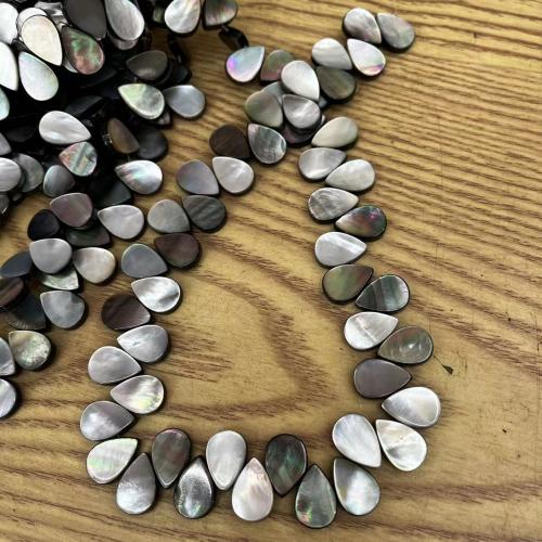 Black Shell Beads Natural Seashell Teardrop & DIY black Sold By Strand