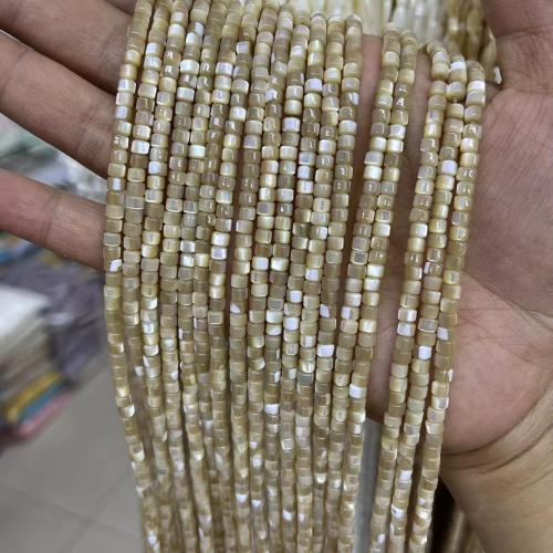 Natural Sea Shell Beads, cima guscio, DIY, nessuno, 3x4mm, Appross. 125PC/filo, Venduto da filo