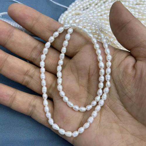 Grânulos de pérolas  cultivadas de água doce  de froma de arroz, Pérolas de água doce, quantidade diferente para escolha & DIY, branco, about:3-4mm, Aprox 71PCs/Strand, vendido por Strand