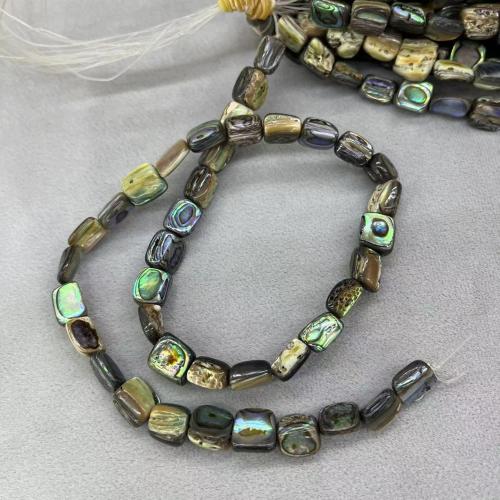 Abalone Shell Beads Square DIY mm Approx Sold By Strand