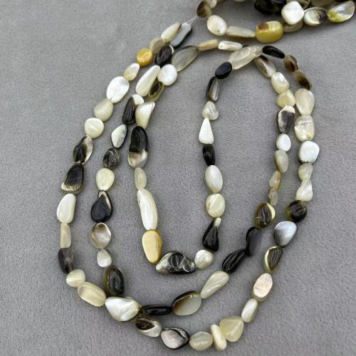 Black Shell Beads Natural Seashell DIY mm Approx Sold Per Approx 78 cm Strand