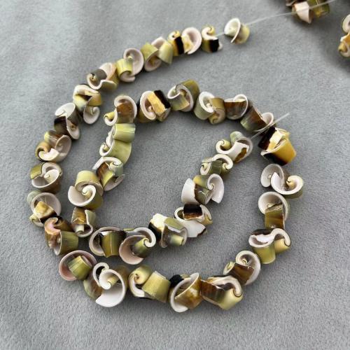 Natural Sea Shell Beads, conchiglia marina, DIY, nessuno, about:8-10mm, Appross. 76PC/filo, Venduto da filo