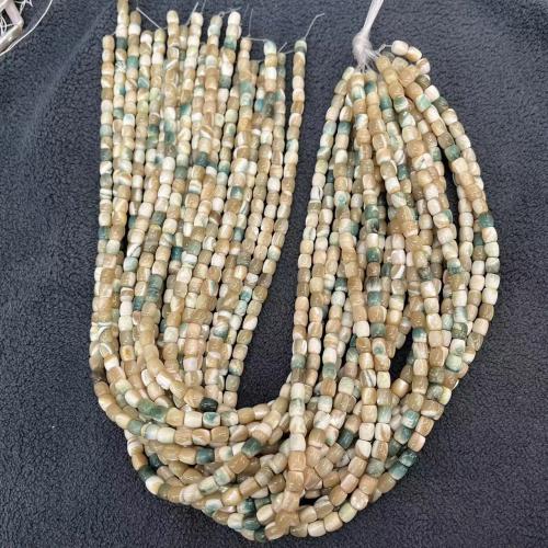 Missangas de conchas naturais do mar , concha, DIY, 5x6mm, Aprox 68PCs/Strand, vendido por Strand