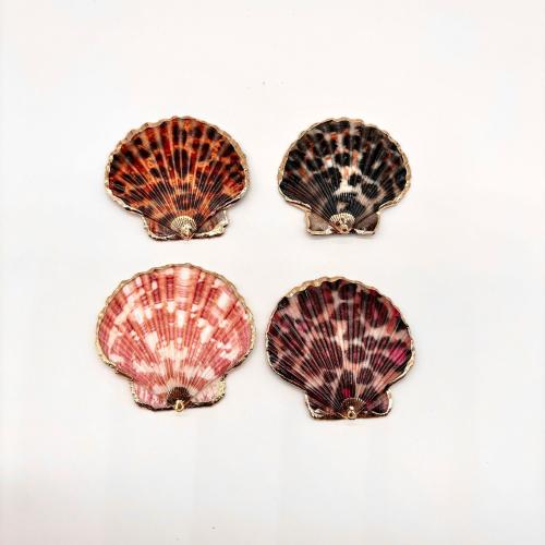 Shell Pendants with Brass gold color plated printing & DIY width mm Sold By PC