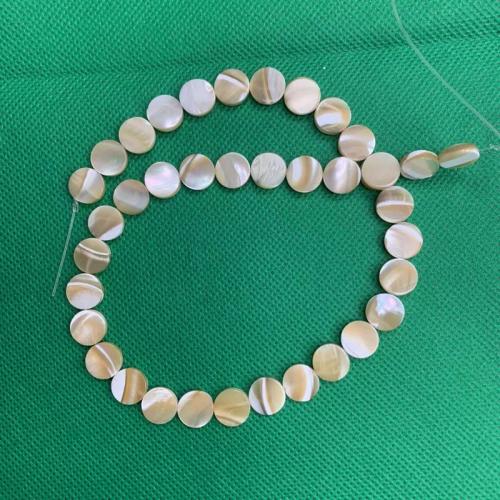 Natural Sea Shell Beads, cima guscio, Cerchio piatto, DIY, color caffè, 10mm, Venduto per Appross. 38 cm filo