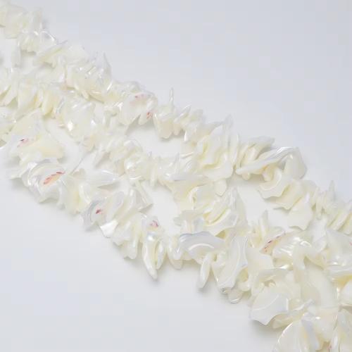 Natural Sea Shell Beads, cima guscio, DIY, bianco, about:18-25mm, Venduto per Appross. 39 cm filo