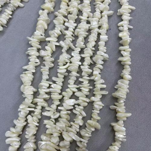 Missangas de conchas naturais do mar , Início Shell, Irregular, DIY, branco, about:12-16mm, Aprox 94PCs/Strand, vendido por Strand