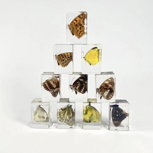 Fashion Decoration Resin with Butterfly Rectangle mixed pattern & transparent Sold By PC