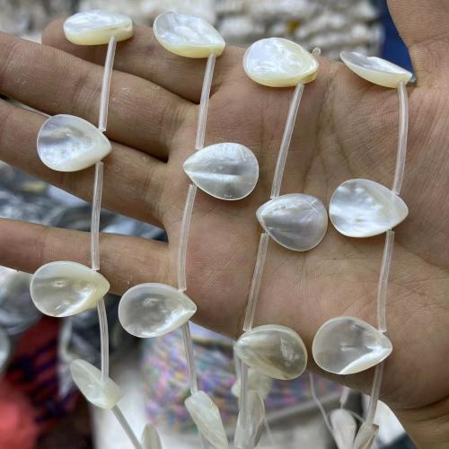 Witte Lip Shell Beads, White Lip Shell, Traan, DIY & verschillende grootte voor keus, meer kleuren voor de keuze, 10pC's/Strand, Verkocht door Strand