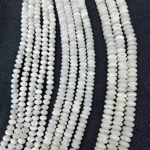 Natural Sea Shell Beads, cima guscio, DIY & formato differente per scelta, nessuno, Venduto da filo