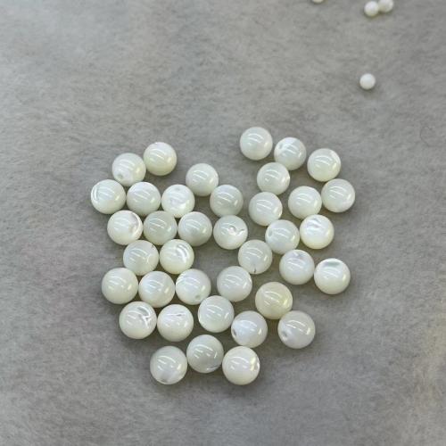 Natural Seashell Beads Shell Round DIY white Sold By Bag