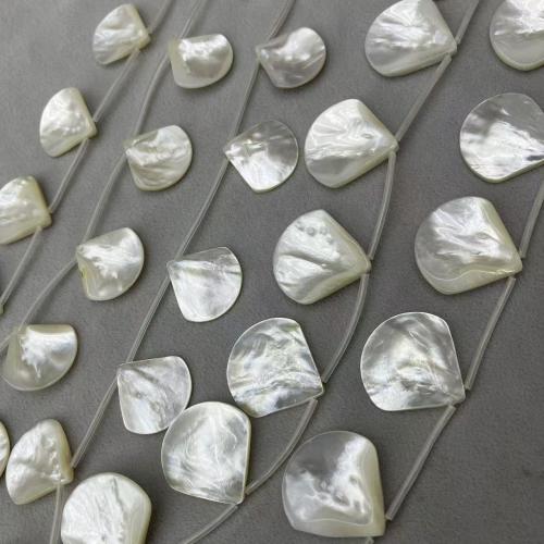 Shell Hangers, White Lip Shell, Schelp, DIY, wit, Verkocht door Strand