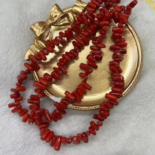 Natural Colored Shell Beads DIY red MM Approx Sold By Strand