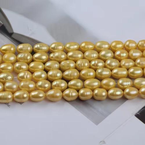 Cultured Baroque Freshwater Pearl Beads Rice DIY golden mm Sold Per Approx 38 cm Strand