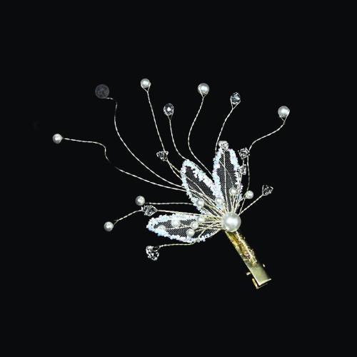Pinces bec, alliage de zinc, avec Gaze & fil en laiton & cristal & perle de plastique, fait à la main, bijoux de mode & pour femme, doré, 180x50x50mm, Vendu par PC