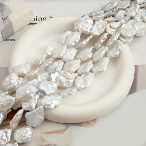 Ferskvandsperle Bead, Blomme blomstre, du kan DIY, hvid, 25x19mm, 16pc'er/Strand, Solgt af Strand