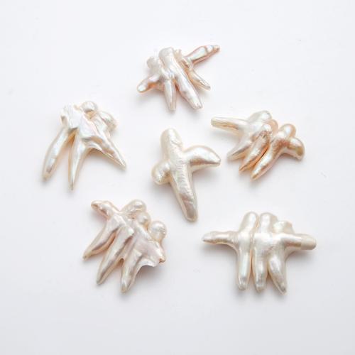 Perlas cultivadas de agua dulce Abalorio, Irregular, sin agujero, Blanco, 42x38mm, Vendido por UD
