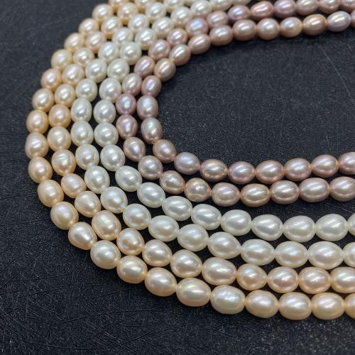 Sladkovodní Pearl Korálek, Rýže, DIY, více barev na výběr, 5-6mm,6-7mm,7-8mm,8-9mm,9-10mm, Prodáno By PC