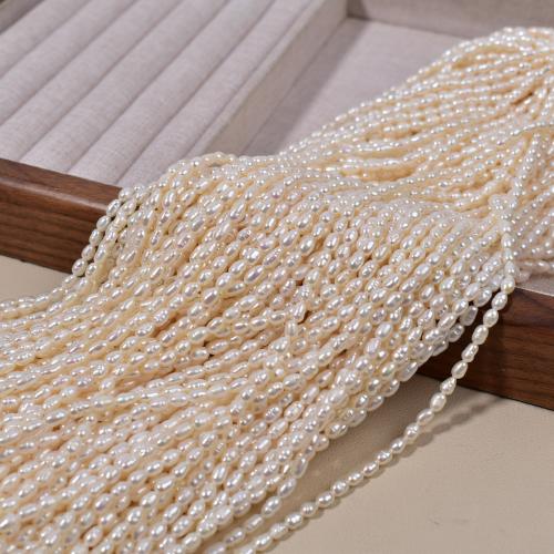 Barok ferskvandskulturperle Beads, Ferskvandsperle, Uregelmæssig, forgyldt, du kan DIY, hvid, 3x4mm, Solgt af Strand