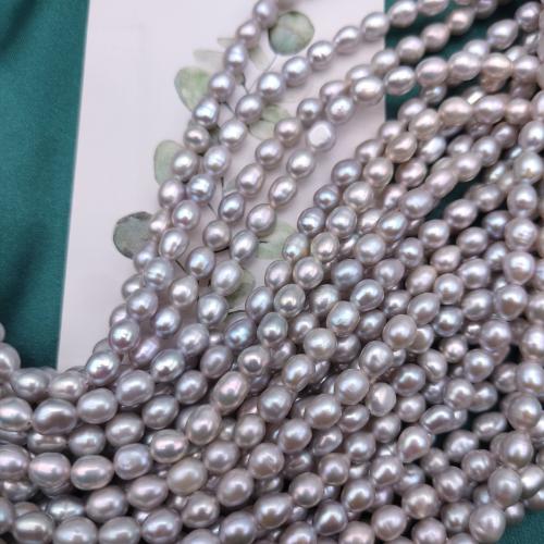 Potatis odlad sötvattenspärla pärlor, Freshwater Pearl, DIY, grå, 4x5mm, 73PC/Strand, Säljs av Strand
