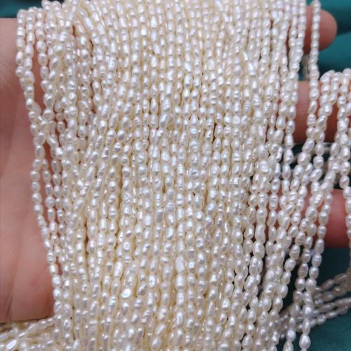 Ris odlad sötvattenspärla pärlor, Freshwater Pearl, DIY, vit, 2x2.50mm, 105PC/Strand, Säljs av Strand