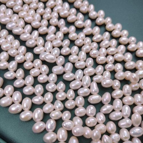 Potatis odlad sötvattenspärla pärlor, Freshwater Pearl, DIY, vit, 6x7mm, 88PC/Strand, Säljs av Strand