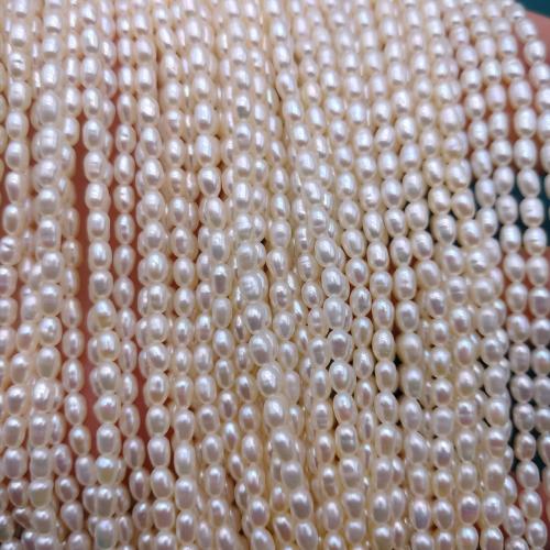 Rice Viljellyt makeanveden helmen helmet, Riisi, tee-se-itse, valkoinen, 2.80x3.20mm, 84PC/Strand, Myymät Strand