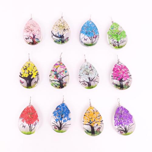 Glas Hanger, met Gedroogde bloem & Zinc Alloy, DIY & verschillende stijlen voor de keuze, Willekeurige kleur, Verkocht door PC